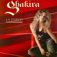 Shakira - La Pared