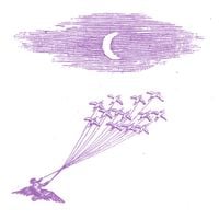 Feeling Figures - Migration Magic