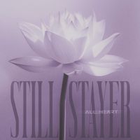 Still Stayer - ALL HEART
