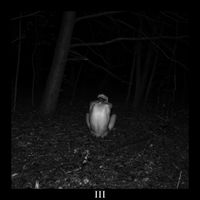 ​polearm - III