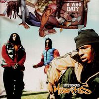 Mystidious Misfitss - A Who Dat?