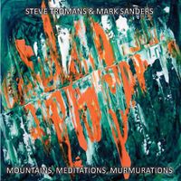 Steve Tromans - Mountains, Meditations, Murmurations