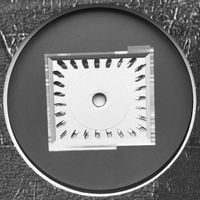 Mammo - Variable / Plate