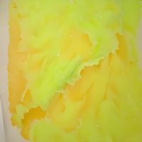Fresh Cut Slim - A Tiny Mustard Stain