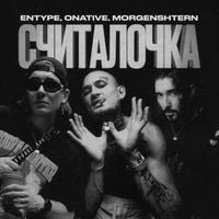 ENTYPE - СЧИТАЛОЧКА