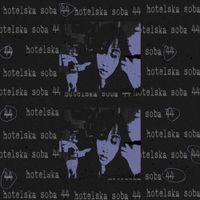 mrzimteluka - Hotelska Soba 44