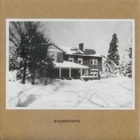 Snowstorm - Snowstorm