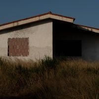 Quercia - Dove si muore davvero