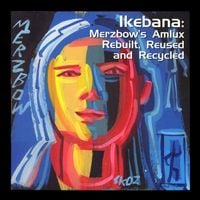 Merzbow - Ikebana: Merzbow's 'Amlux' Rebuilt, Reused and Recycled