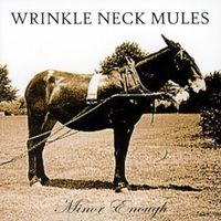 Wrinkle Neck Mules - Minor Enough