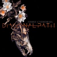 Diagonal Path - Atheist Cathedrals