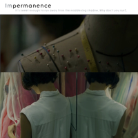 Impermanence - It's sweet enough to run away from the maddening shadow. Why don't you run?