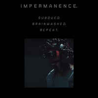 Impermanence - Subdued. Brainwashed. Repeat.