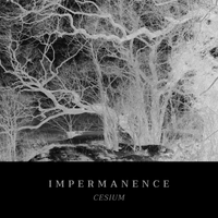 Impermanence - Cesium