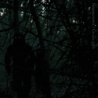 Impermanence - Impermanence / Cicada 3301