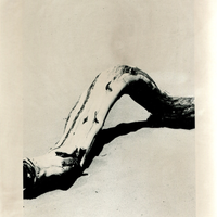 Impermanence - Acedia