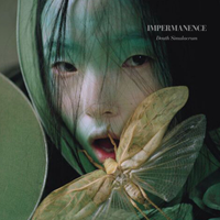 Impermanence - Death Simulacrum