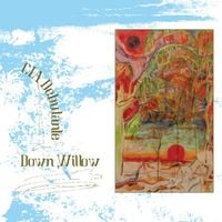 C.I.A. D&eacute;butante - Down, Willow
