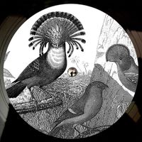 Anna Lunoe - Anna Lunoe & Friends