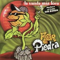 Flor de Piedra - La vanda m&aacute;s loca