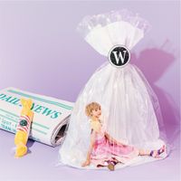 Dream Ami - Wonderland