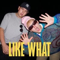 Joey Valence & Brae - Like What