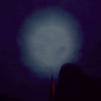 Maria Kannegaard - Sand i en vik