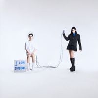 Pam Rabbit - I Love The Internet