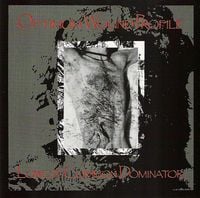 Optimum Wound Profile - Lowest Common Dominator