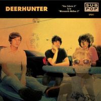 Deerhunter - Vox Celeste 5