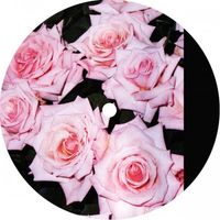 Delroy Edwards - Can U Get With