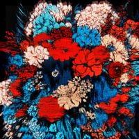 WINO WILLY - Fresh Cut Flowers