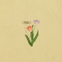 Jonny&rsquo;s Day Out - Tulips