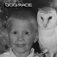 Dog Race - Terror