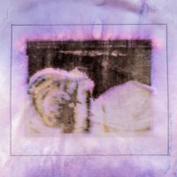 MAX - EDIE CELINE