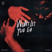 Martin Garrix - Won't Let You Go
