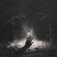 Comisar - Vision Realms