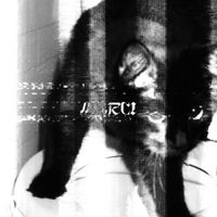 wubz - marci