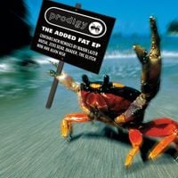 The Prodigy - The Added Fat