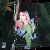 Effie - Acid Fly