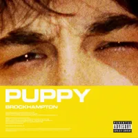 BROCKHAMPTON - PUPPY (bharchive)