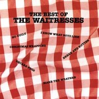 The Waitresses - The Best of The Waitresses