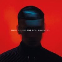 Baasch - Grizzly Bear With a Million Eyes