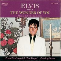 Elvis Presley - The Wonder of You