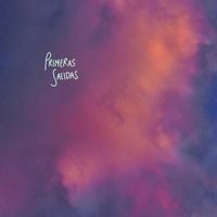 Mint Field - Primeras Salidas