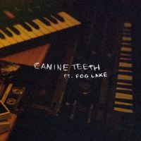 Orchid Mantis - canine teeth