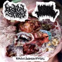 Larval Therapy - Podridos, Destrozados, y Mutilados (Larval Therapy x Bodily stew Split