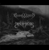 Falls of Rauros - Falls of Rauros / Panopiction