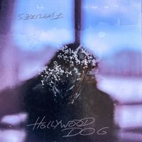 Fixtures - Hollywood Dog