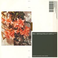 Polygonia & Popp - Candid